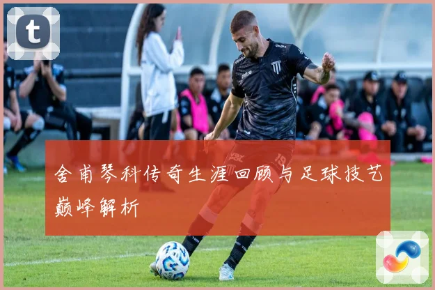 舍甫琴科传奇生涯回顾与足球技艺巅峰解析