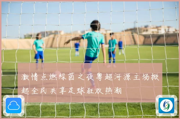 激情点燃绿茵之夜粤超河源主场掀起全民共享足球狂欢热潮