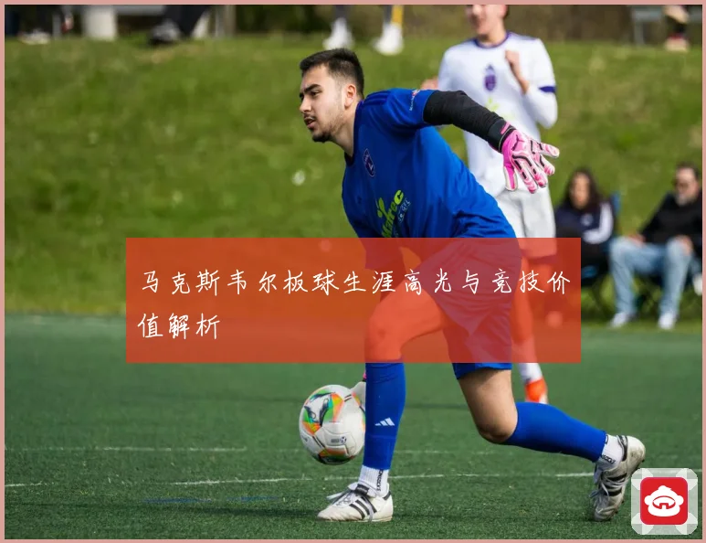马克斯韦尔板球生涯高光与竞技价值解析