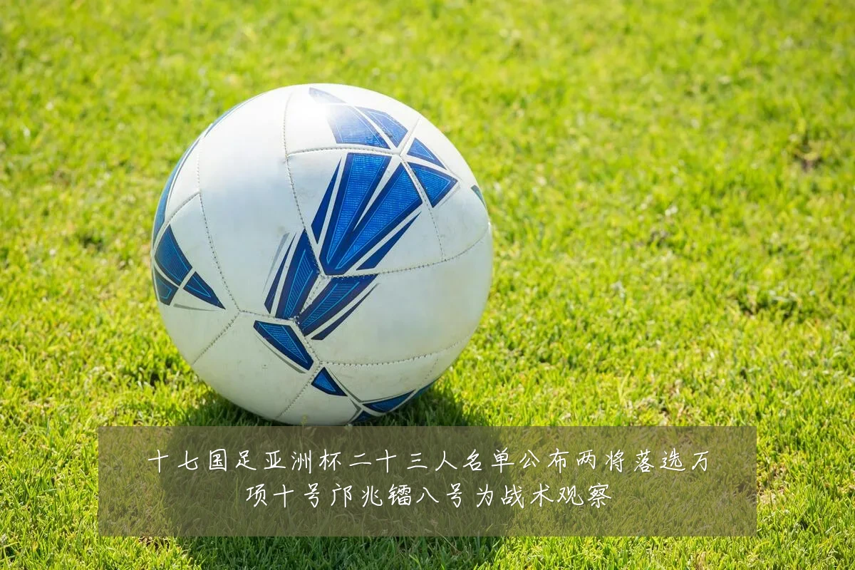 十七国足亚洲杯二十三人名单公布两将落选万项十号邝兆镭八号为战术观察
